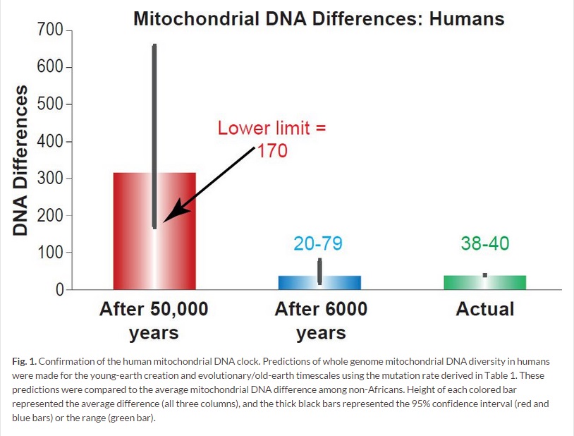 MtDNA 변이 차이 2015 인간