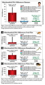 MtDNA 변이 차이 - 젊은 지구의 증거