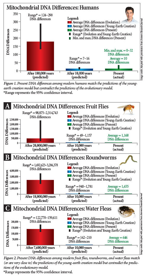 MtDNA 변이 차이 - 젊은 지구의 증거
