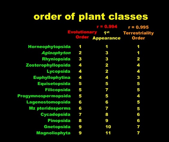 Order of Plant Classes with fossil