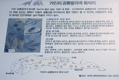 가인리 공룡발자국 화석지 - 사람 발자국 모양 화석