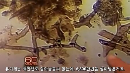 공룡 화석 연부조직 - 유기체는 백만년도 살아 남을 수 없는데 6,800만년을 살아 남았다