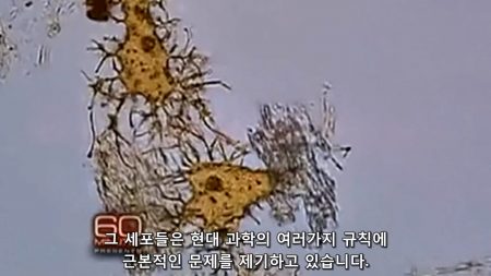 공룡과 연부조직 - 이 세포들은 현대 과학의 여러가지 법칙에 근본적인 문제를 제기한다