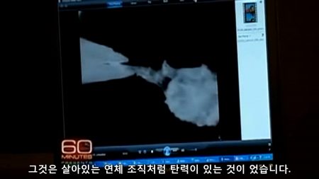 공룡의 연부조직 - 공룡의 화석에 남아 있는 탄력이 있는 연체조직
