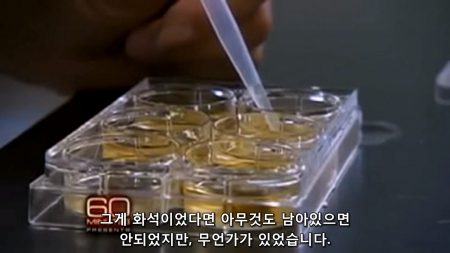 공룡의 연부조직 - 화석이었다면 아무것도 있으면 안된다