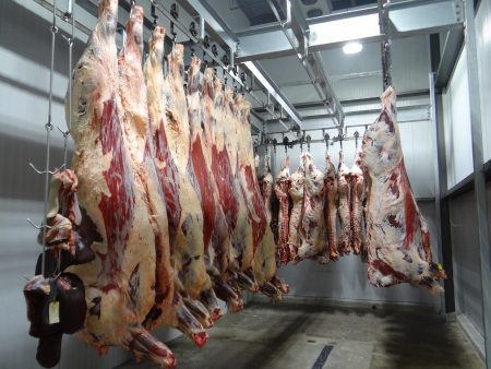 도살장 냉동창고 - 동물들을 학살하는 인간 - 객관적인 도덕