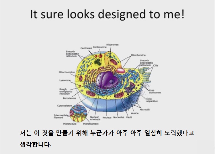 마이클 루스 - 저는 이것을 만들기 위해 누군가가 아주 열심히 노력했다고 생각합니다