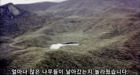 세인트 헬렌스 산에 엄청나게 많은 나무들이 날라감 - 젊은 지구의 지질학적 증거