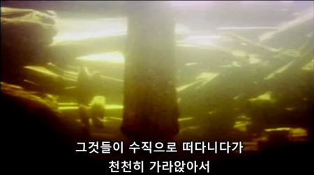 세인트 헬렌스 산에서 날라간 나무들이 수직으로 떠다님 - 젊은 지구의 지질학적 증거