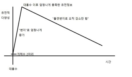 블로거 스꿩끄 - 유전 정보 증가에 대한 오해