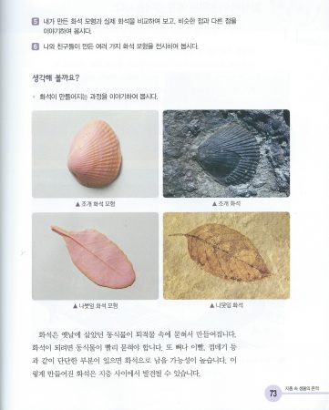 초등학교 3학년 교과서 - 화석이 되려면 빨리 묻혀야 한다