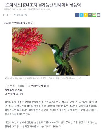 흉내조차 불가능한 벌새의 비행 능력 - 생체 모방 - 하나님의 창조 증거